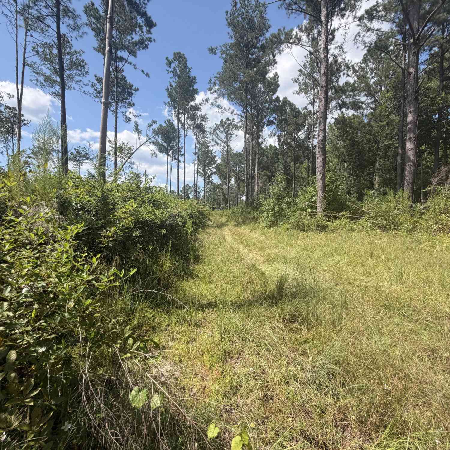 Vacant Land For Sale - 7 Sunhill Grange Road<br/> Davisboro, GA 31018
