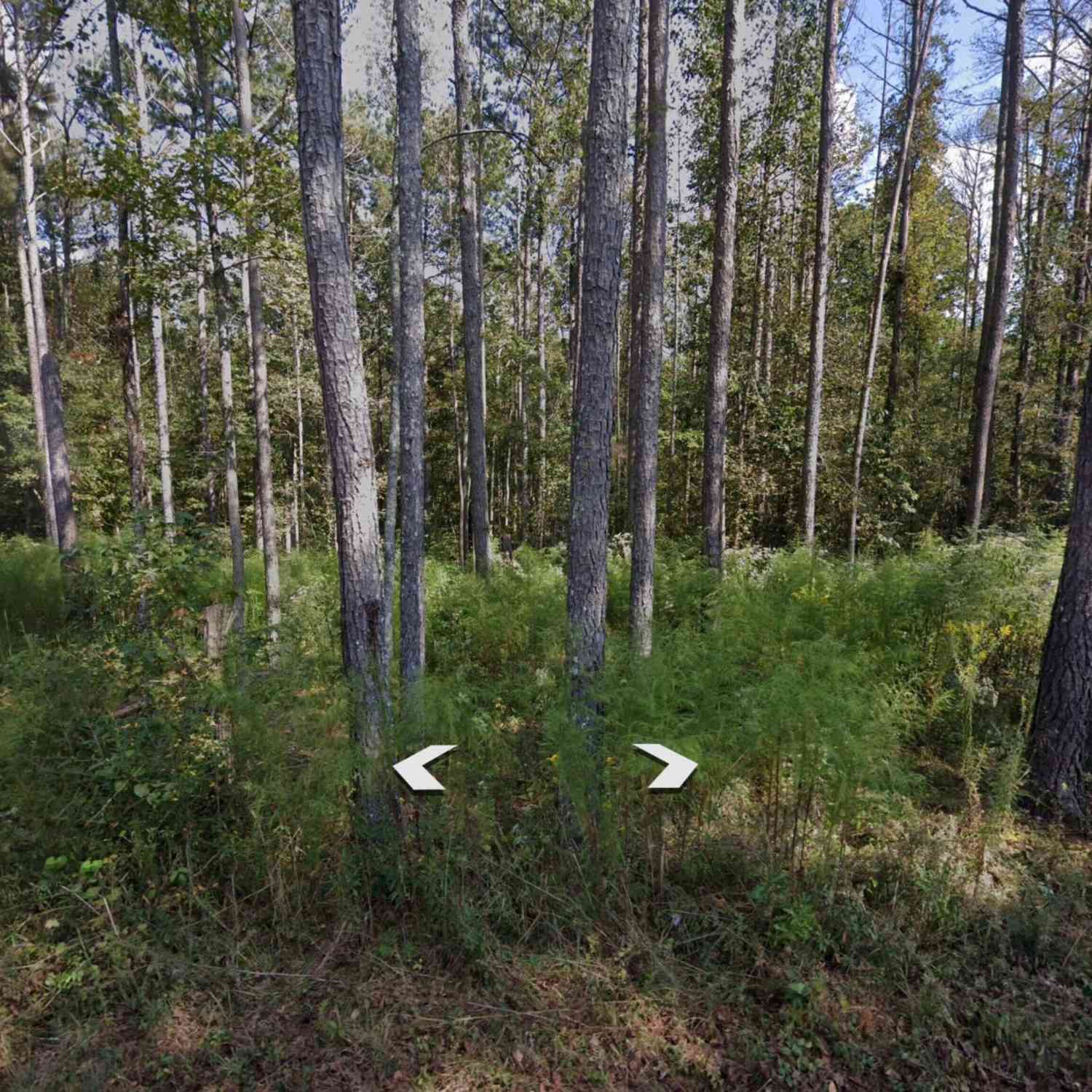 Vacant Land For Sale - Holly Road #TRACT 3<br/> Bowdon, GA 30108