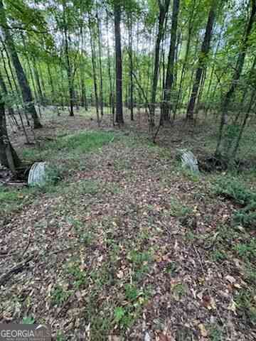 Vacant Land For Sale - 184 Mcbride Road<br/> Fayetteville, GA 30215