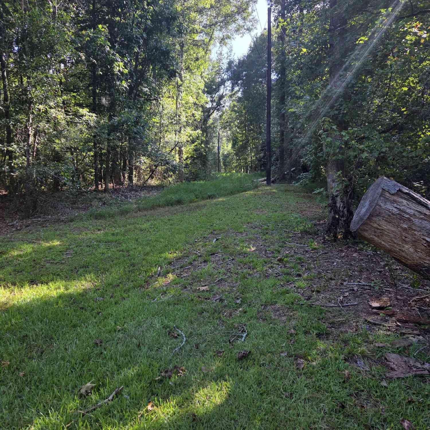 Vacant Land For Sale - Oak Road<br/> Jenkinsburg, GA 30234