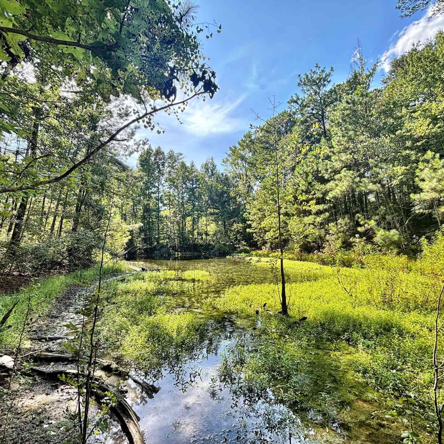 Vacant Land For Sale - 1721 Hwy 49<br/> Byron, GA 31008