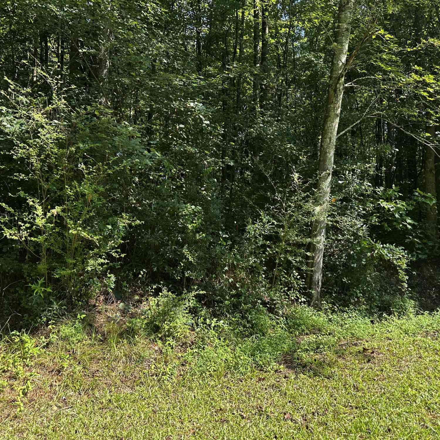 Vacant Land For Sale - Overbrook Drive<br/> Temple, GA 30179
