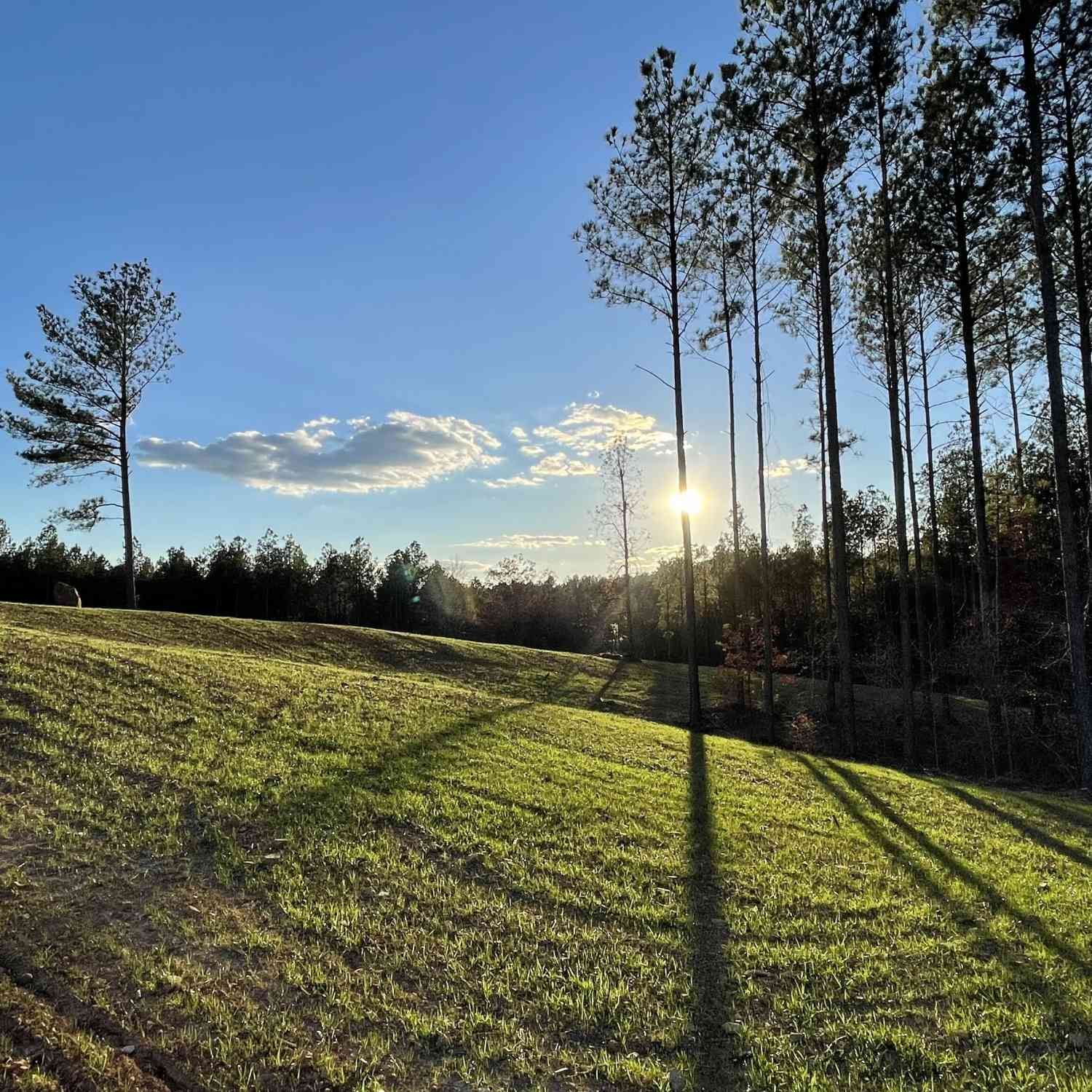 Vacant Land For Sale - 92 Lillian Strong Road<br/> Carlton, GA 30627