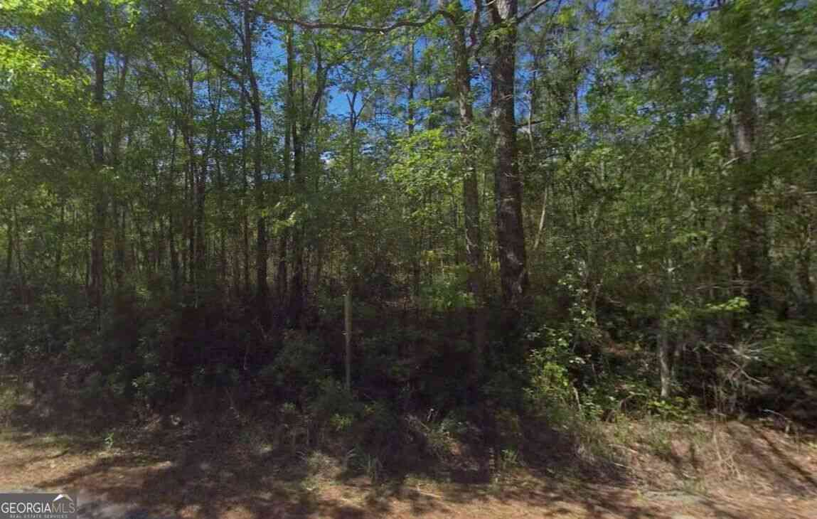 Vacant Land For Sale - 3501 Blues Reach Road<br/> Townsend, GA 31331
