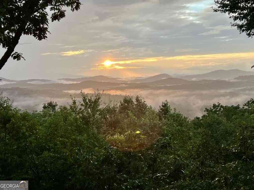 Vacant Land For Sale - TRACT A Oak Ledge Road<br/> Fannin County, Morganton, GA 30560