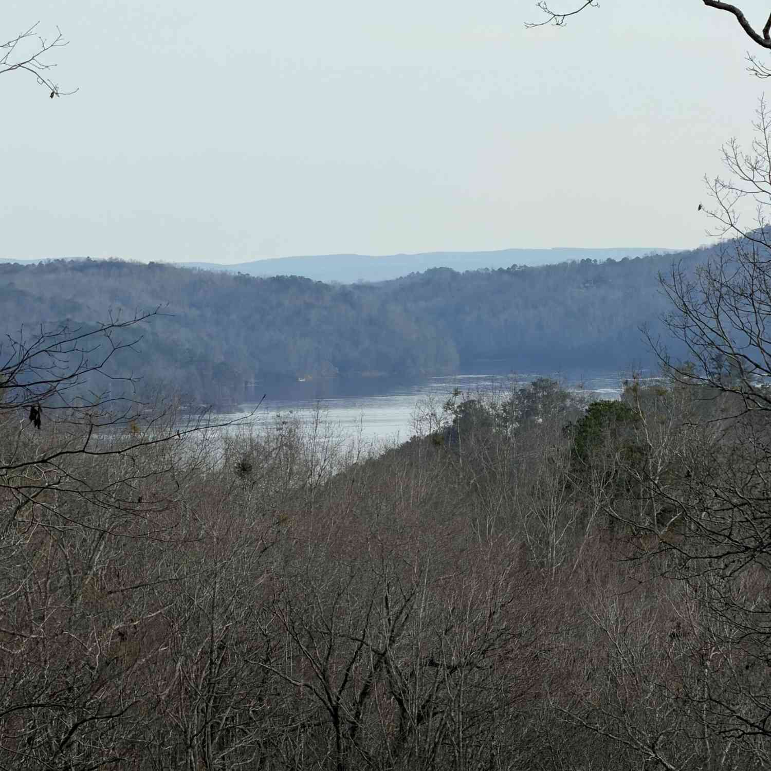 Vacant Land For Sale - 439 Buck Creek Road<br/> Ellijay, GA 30540