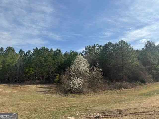Vacant Land For Sale - 39 Brush Creek Park Road<br/> Franklin, GA 30217