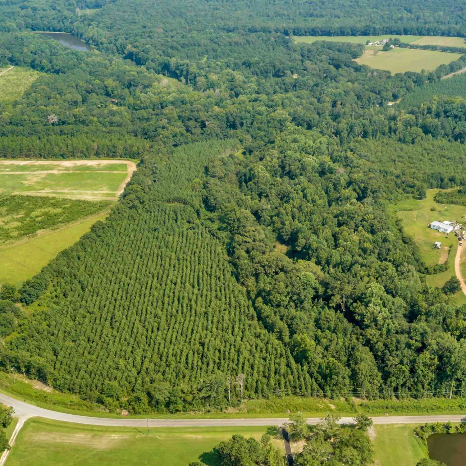 Vacant Land For Sale - LOT A Atwell Road<br/> Danville, GA 31017