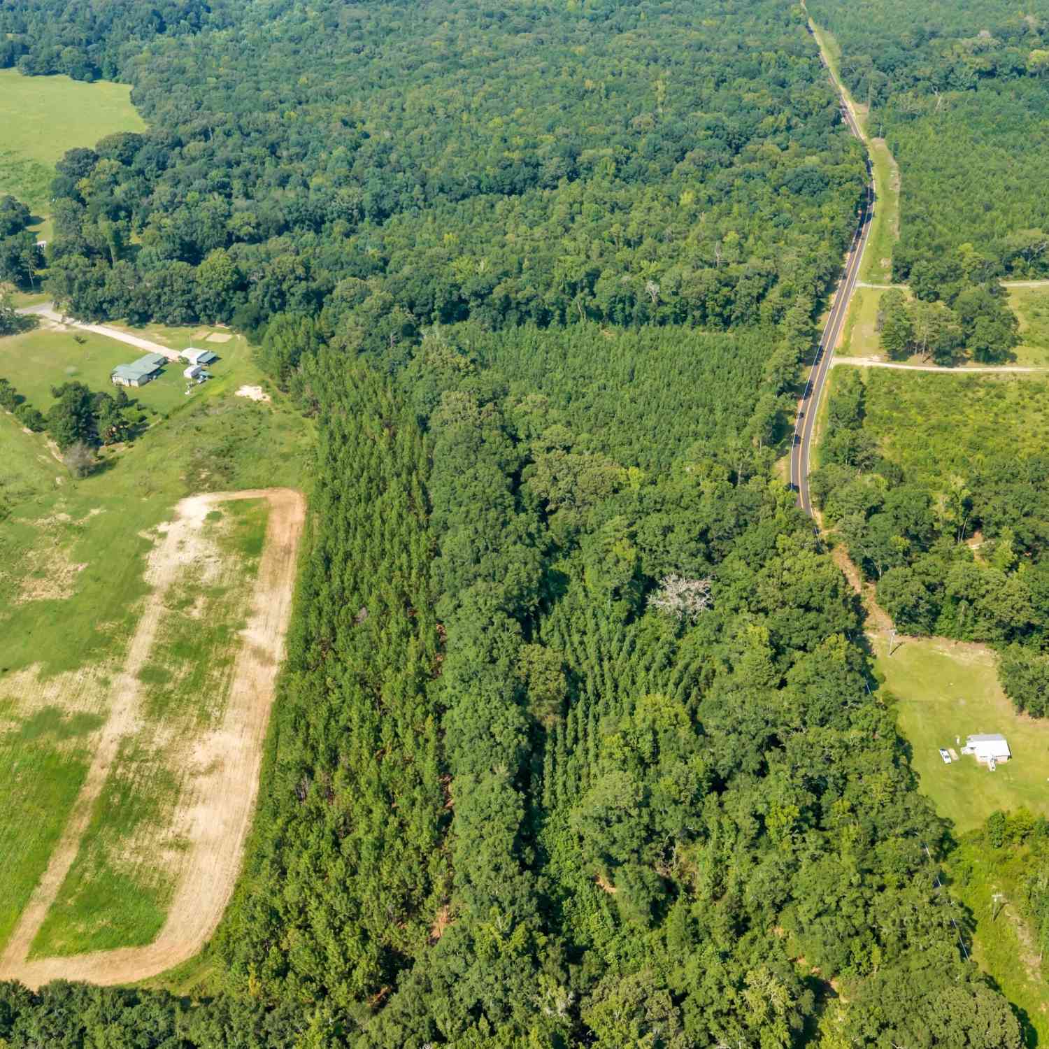 Vacant Land For Sale - LOT C Atwell Road<br/> Danville, GA 31017
