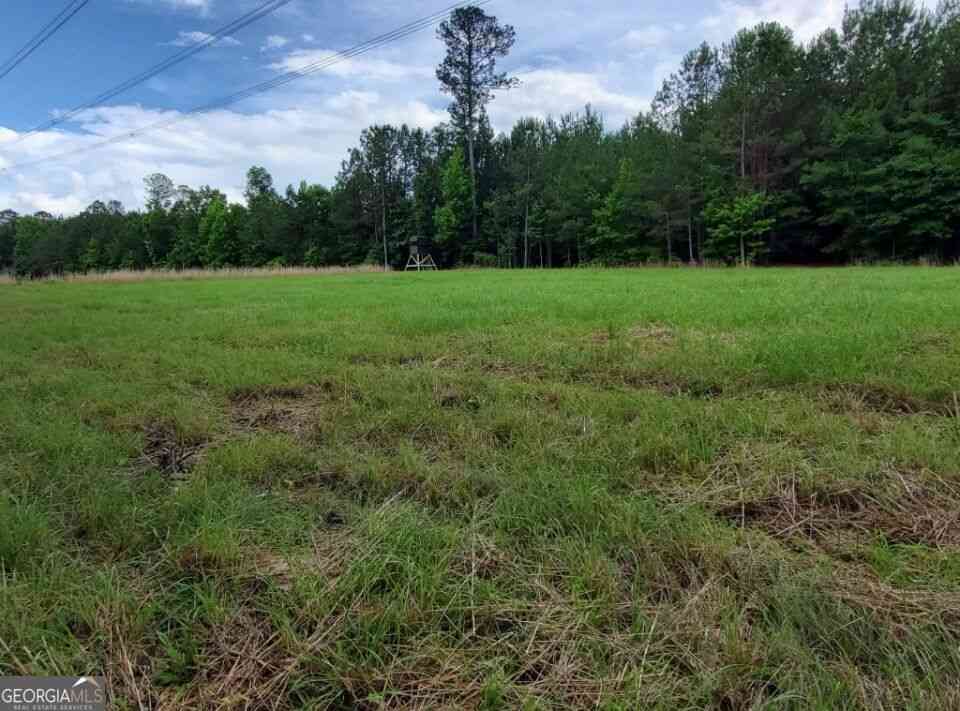 Vacant Land For Sale - 1 Frazier Road<br/> Sparta, GA 31087