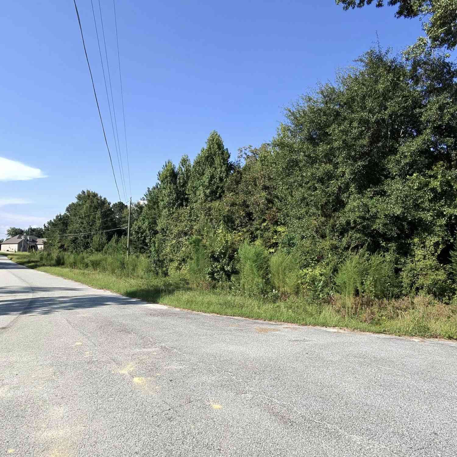 Vacant Land For Sale - 4003 Sunni Court<br/> MACON, GA 31216
