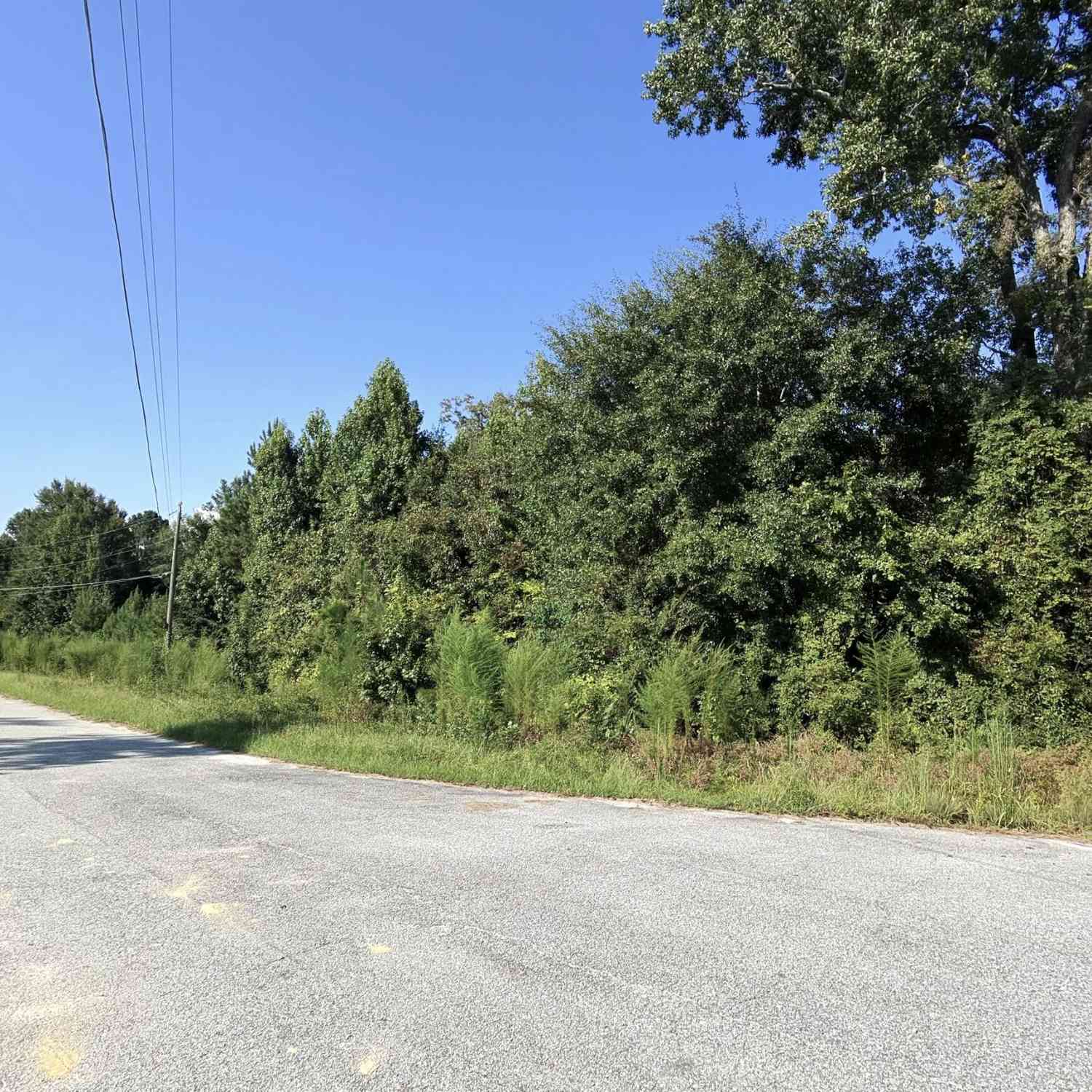 Vacant Land For Sale - 4007 Sunni Court<br/> macon, GA 31216