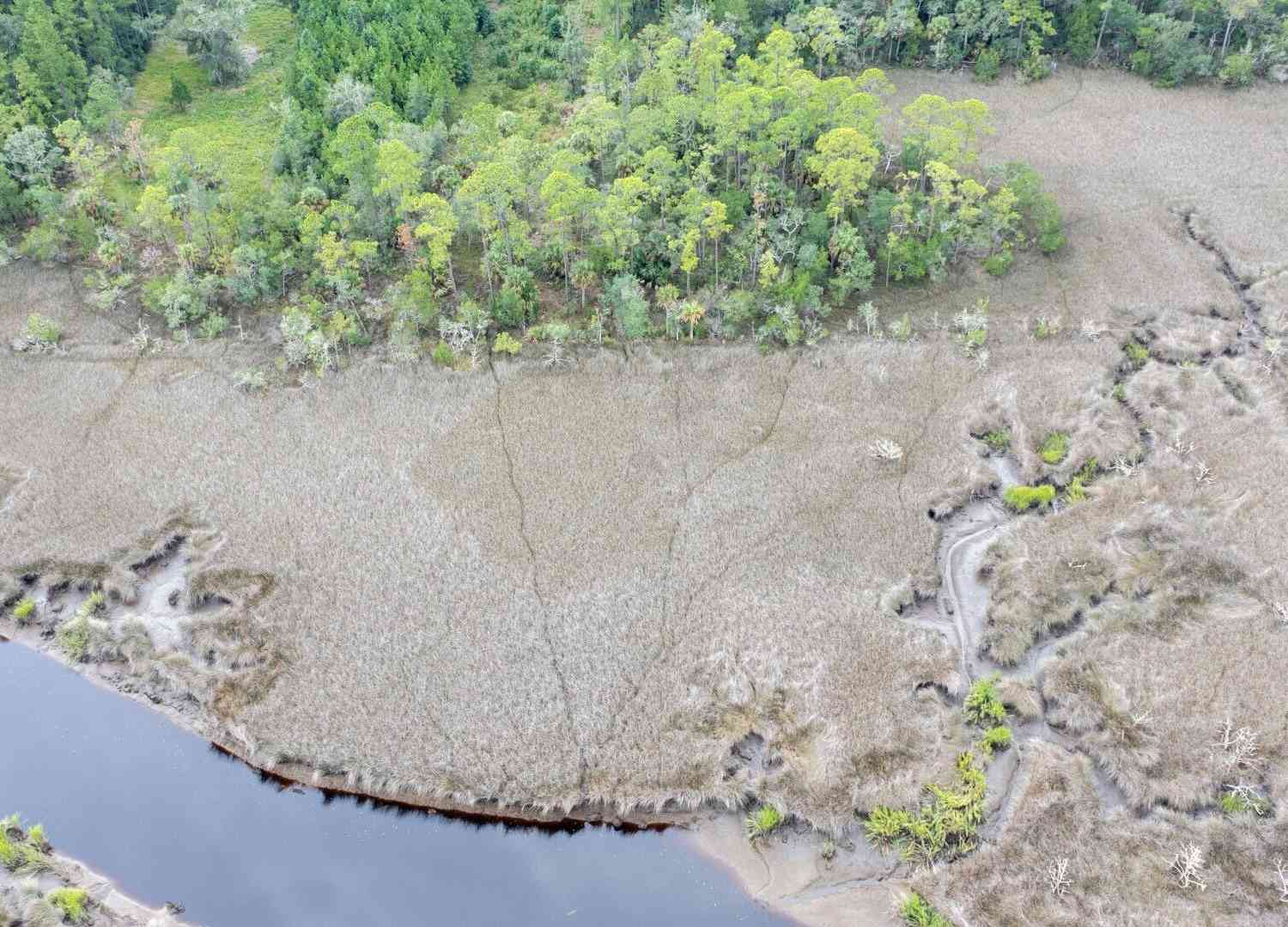 Vacant Land For Sale - La Sole Lane<br/> Waverly, GA 31565