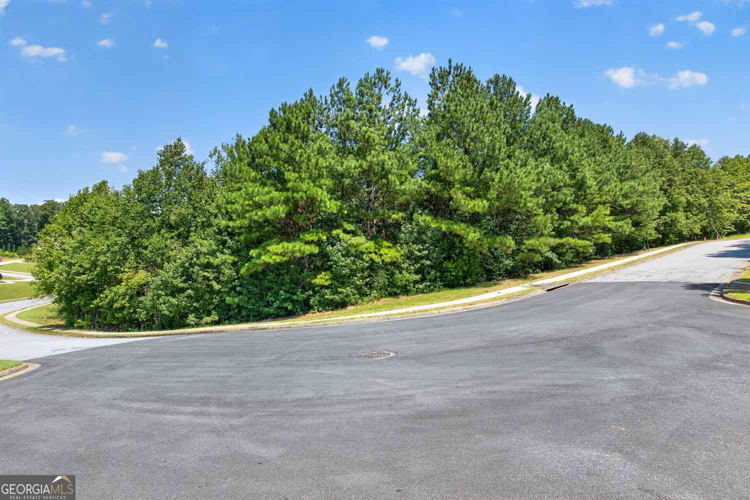 Vacant Land For Sale - 1179 Wood Trace Lane #44<br/> Gwinnett County, Auburn, GA 30011