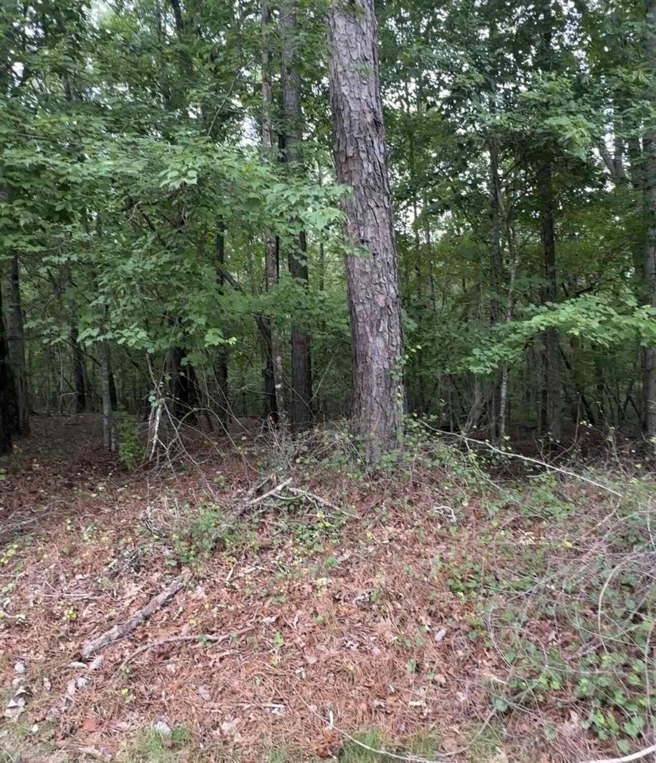 Vacant Land For Sale - 5850 Double Birch<br/> Douglasville, GA 30135