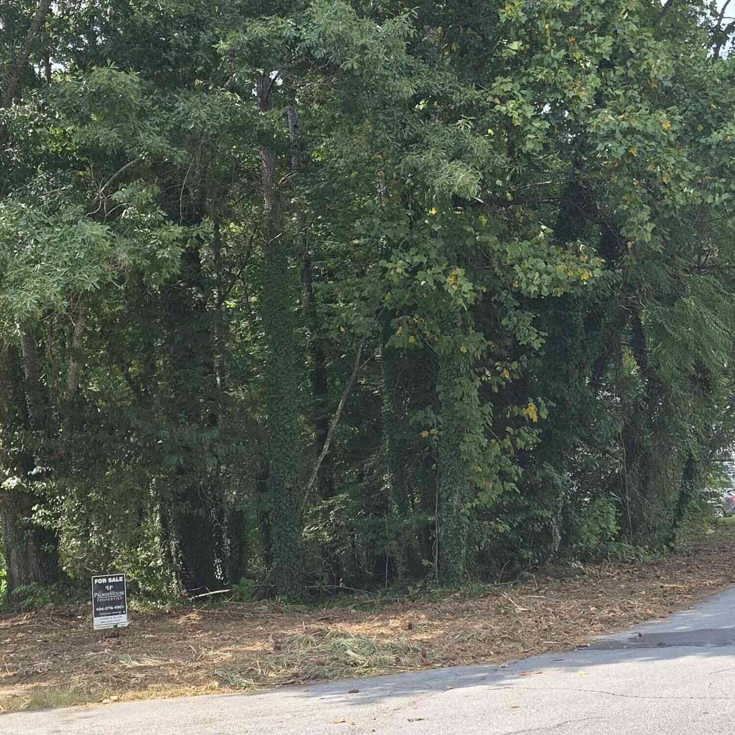 Vacant Land For Sale - 1077 Crooked Creek Road<br/> Dekalb County, Lithonia, GA 30058