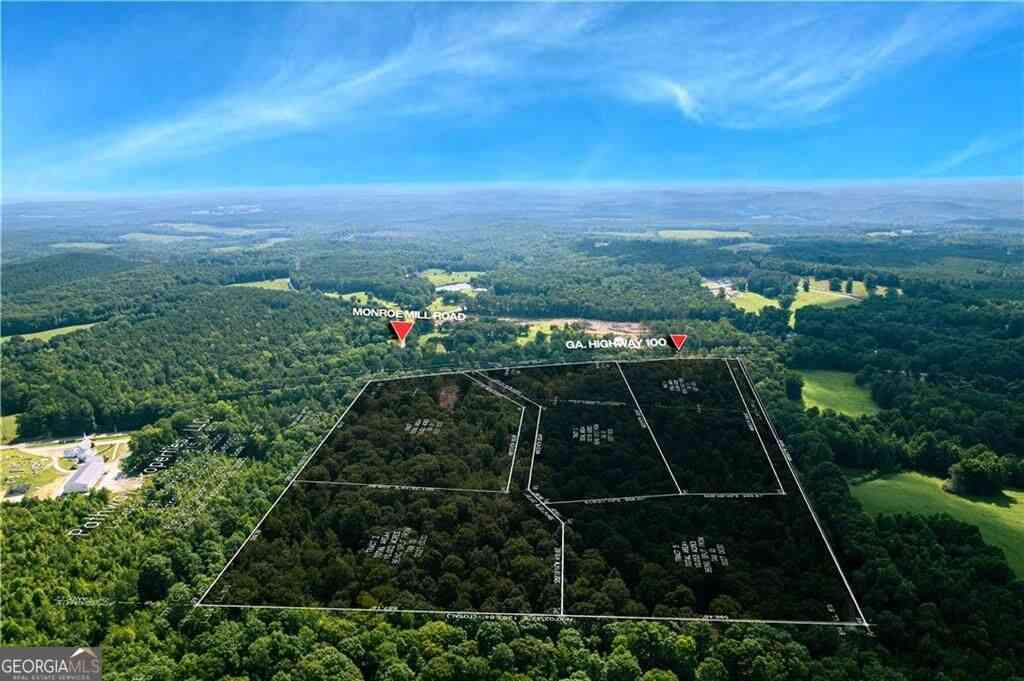 Vacant Land For Sale - 7804 Georgia Highway 100<br/> Buchanan, GA 30113