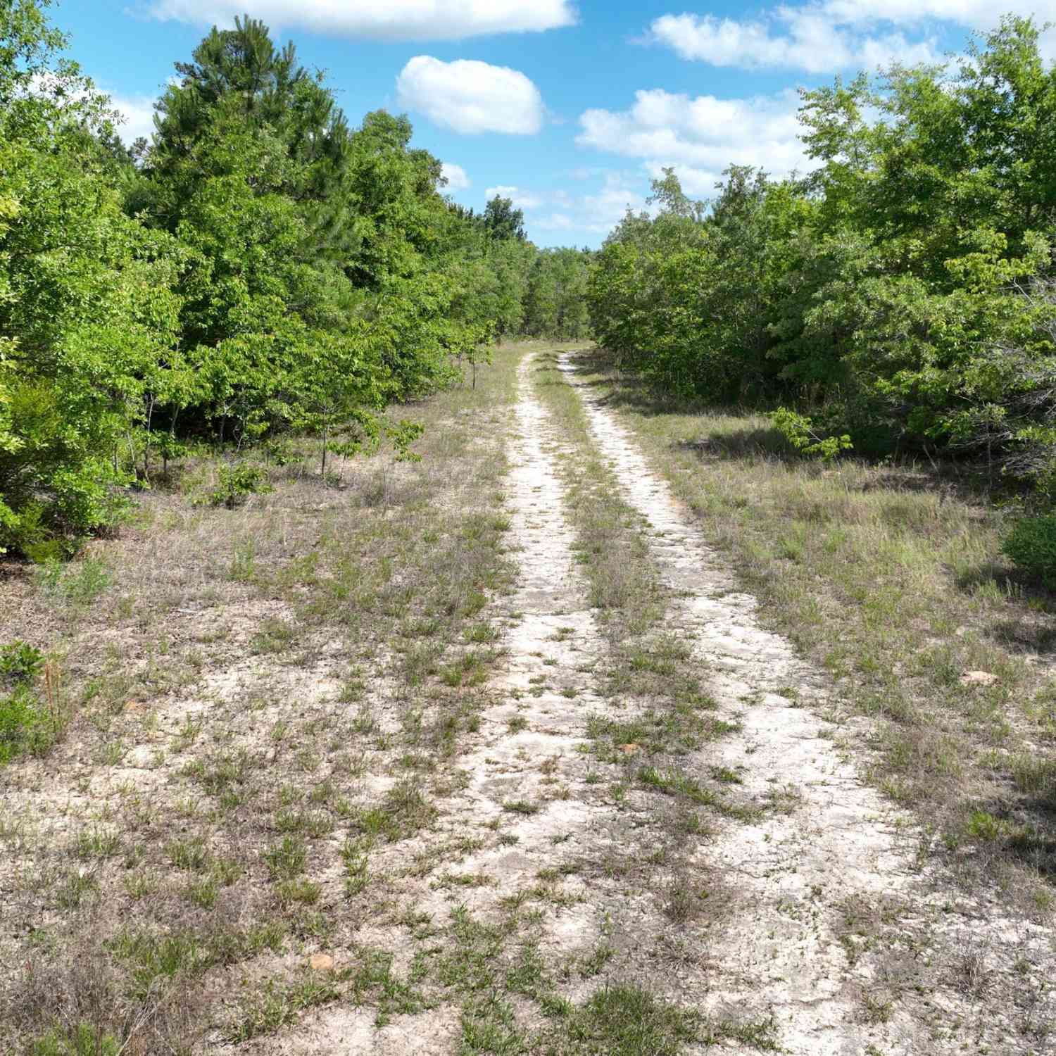 Vacant Land For Sale - Clarks Mill Road<br/> Jefferson County, Avera, GA 30803