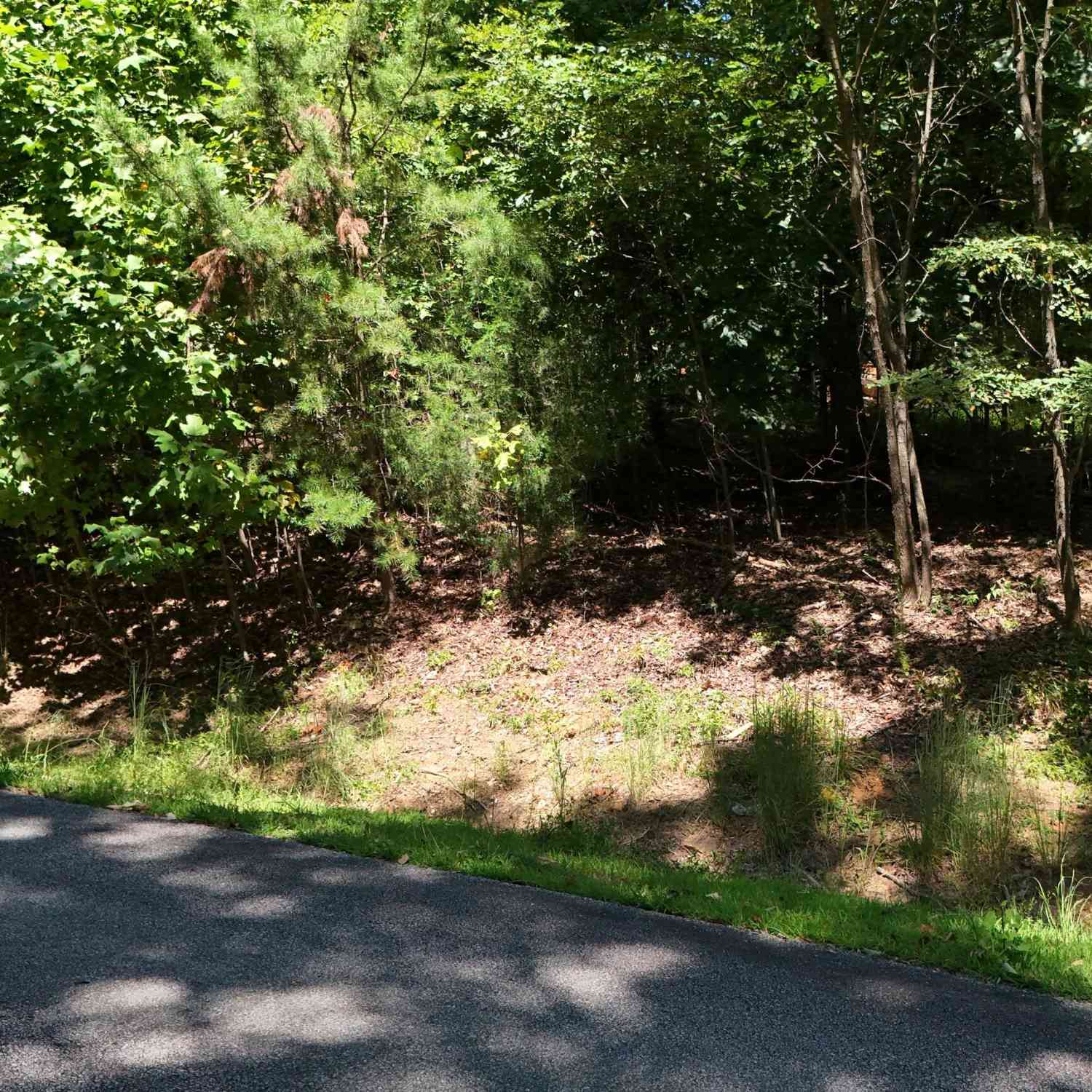Vacant Land For Sale - LOT 229 Stone Cliff Trace<br/> Cleveland, GA 30528