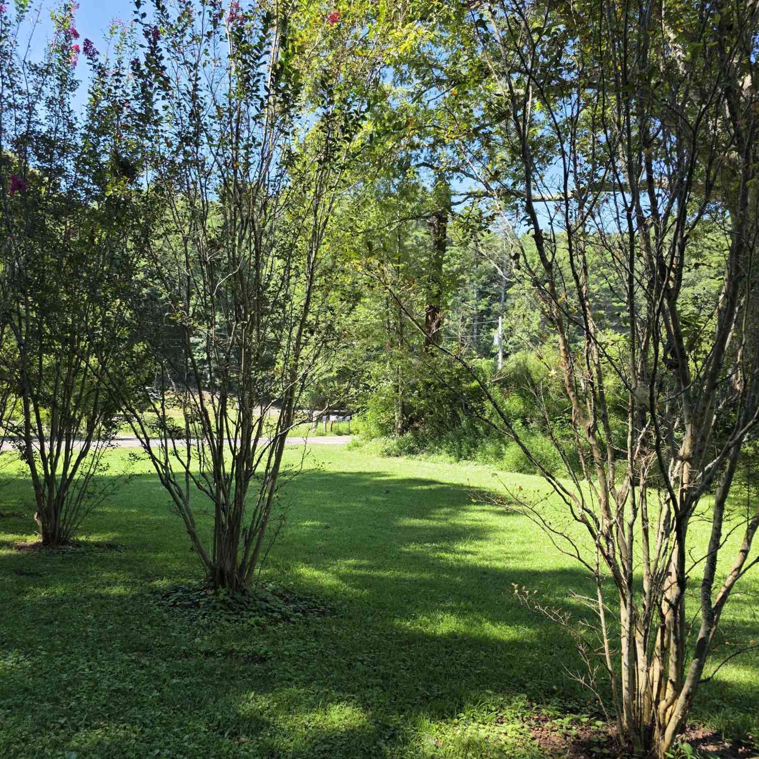 Vacant Land For Sale - 34.98 Hall Road<br/> Polk County, Turtletown, TN 37391