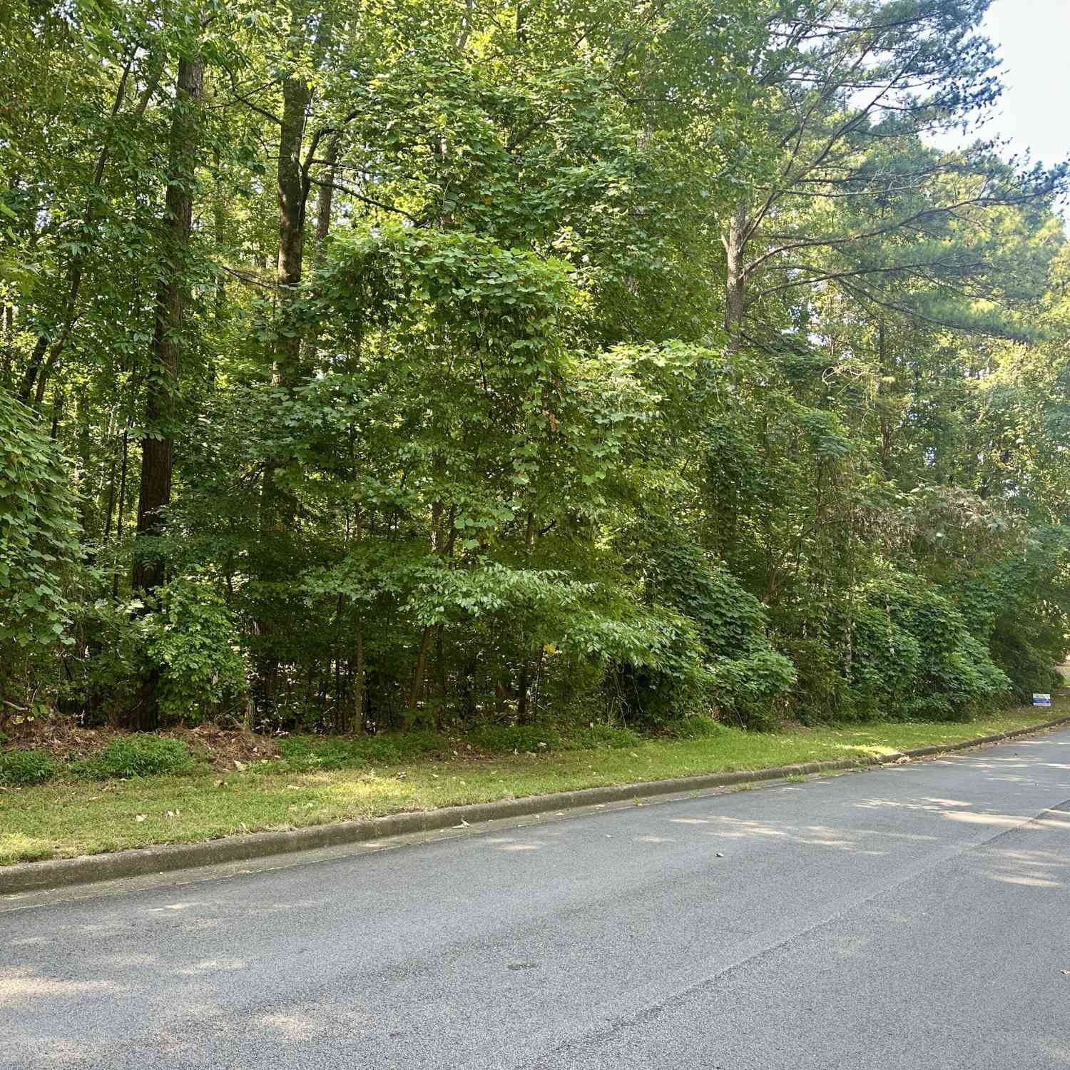 Vacant Land For Sale - 3540 Eagle Landing Drive<br/> Gwinnett County, Snellville, GA 30039