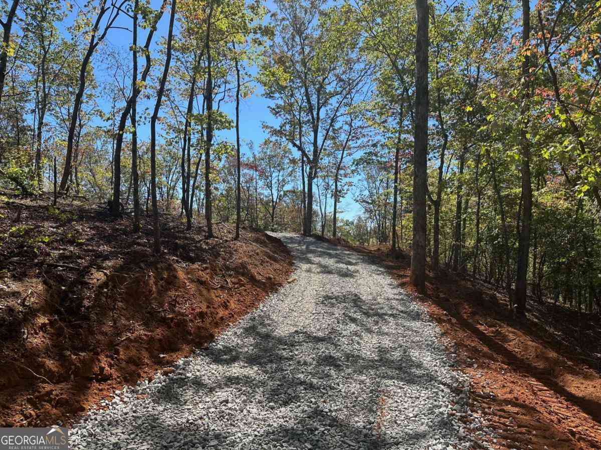 Vacant Land For Sale - 3.71 Yancy Drive<br/> Dawsonville, GA 30534