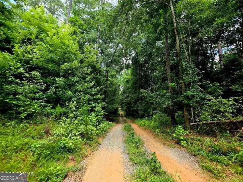 Vacant Land For Sale - Highway 42 S<br/> Forsyth, GA 31029