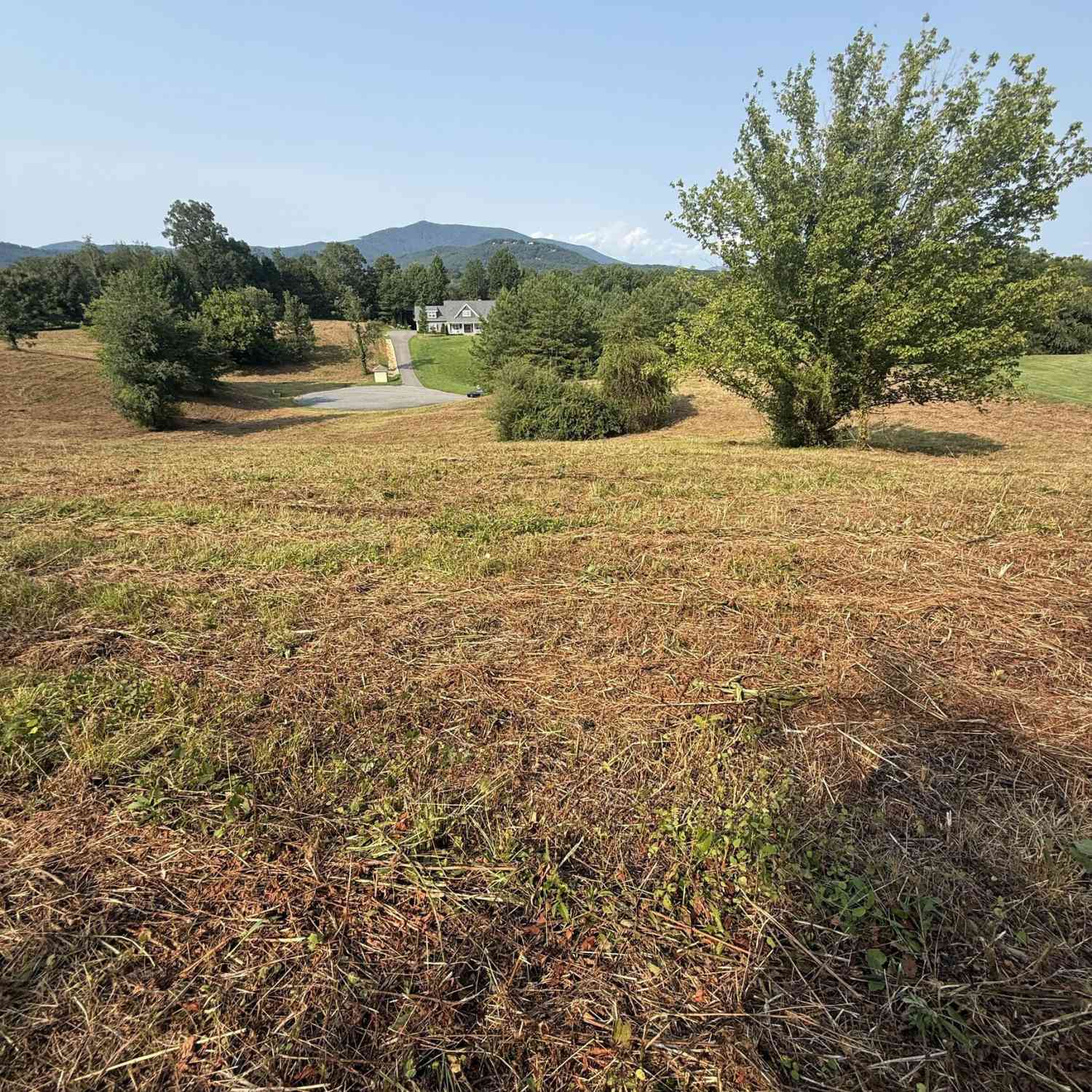 Vacant Land For Sale - Ridgemont Lane<br/> Ellijay, GA 30536