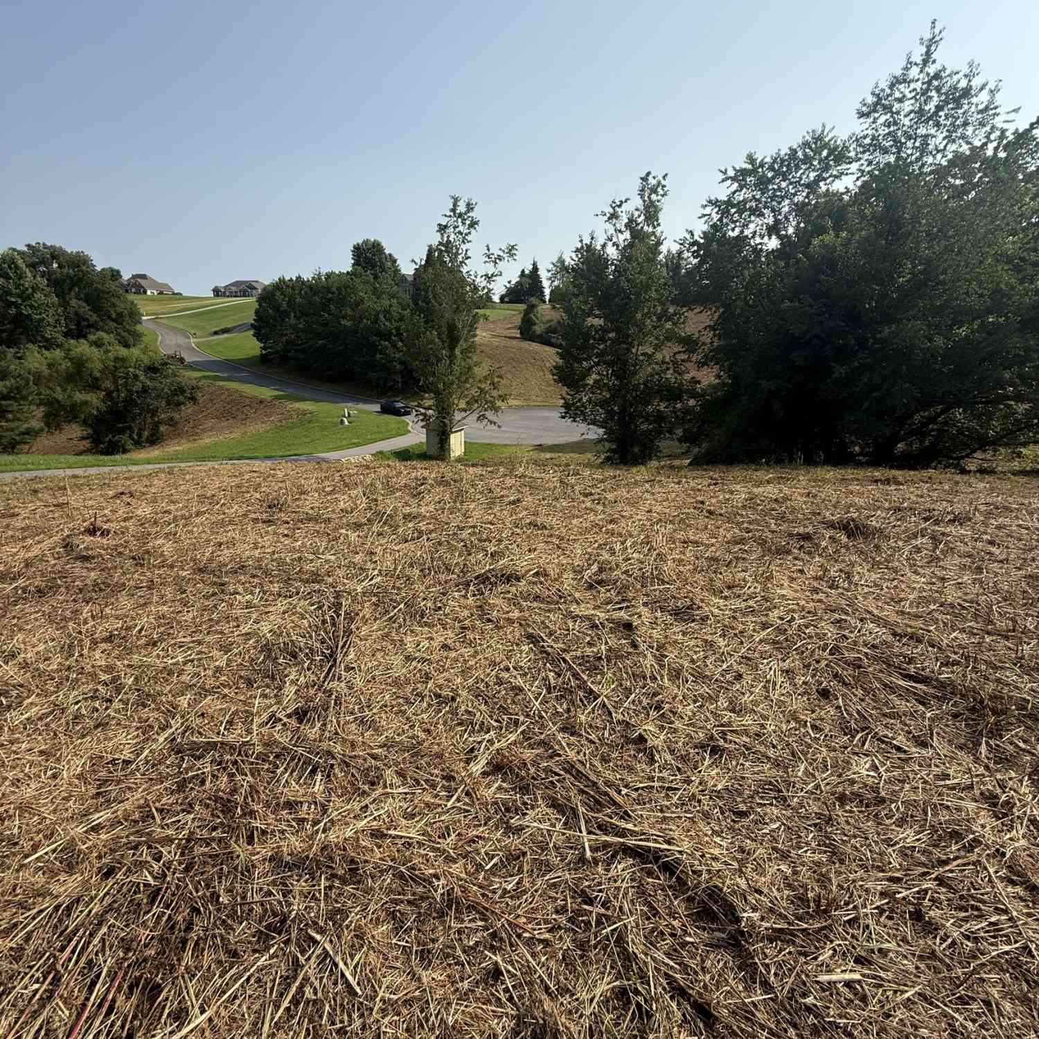 Vacant Land For Sale - Ridgemont Lane<br/> Ellijay, GA 30536