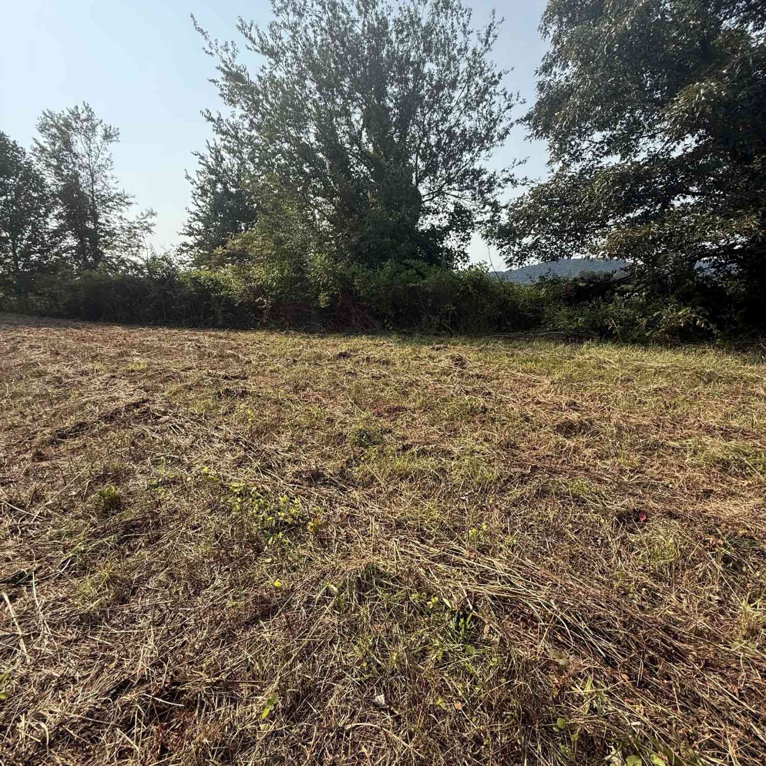 Vacant Land For Sale - Ridgemont Lane<br/> Ellijay, GA 30536