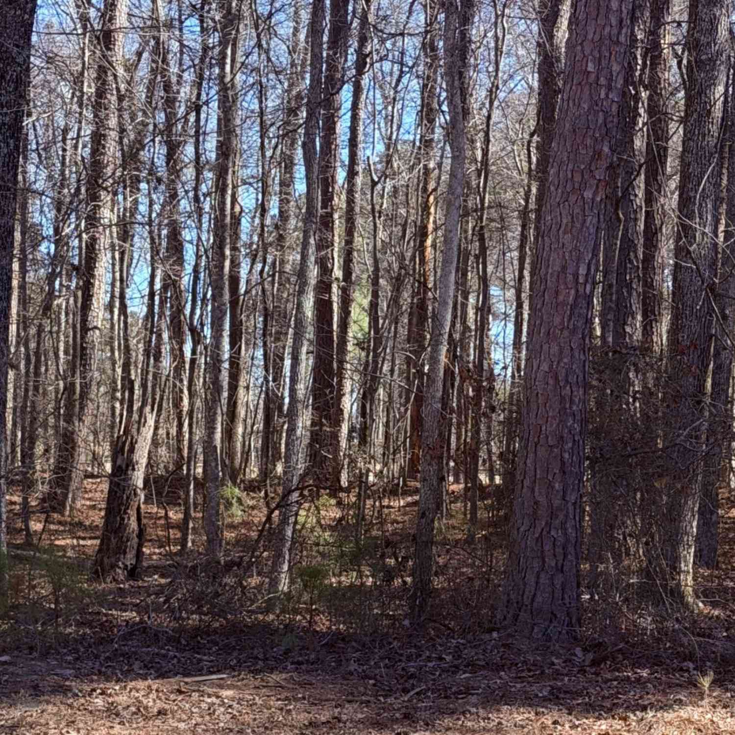 Vacant Land For Sale - 3297 Lakeview Parkway<br/> Carroll County, Villa Rica, GA 30180