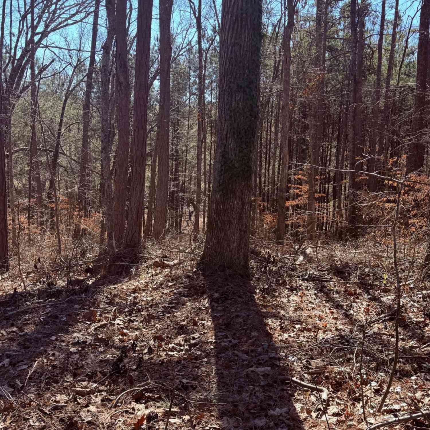 Vacant Land For Sale - 2487 S Carroll Court<br/> Carroll County, Villa Rica, GA 30180