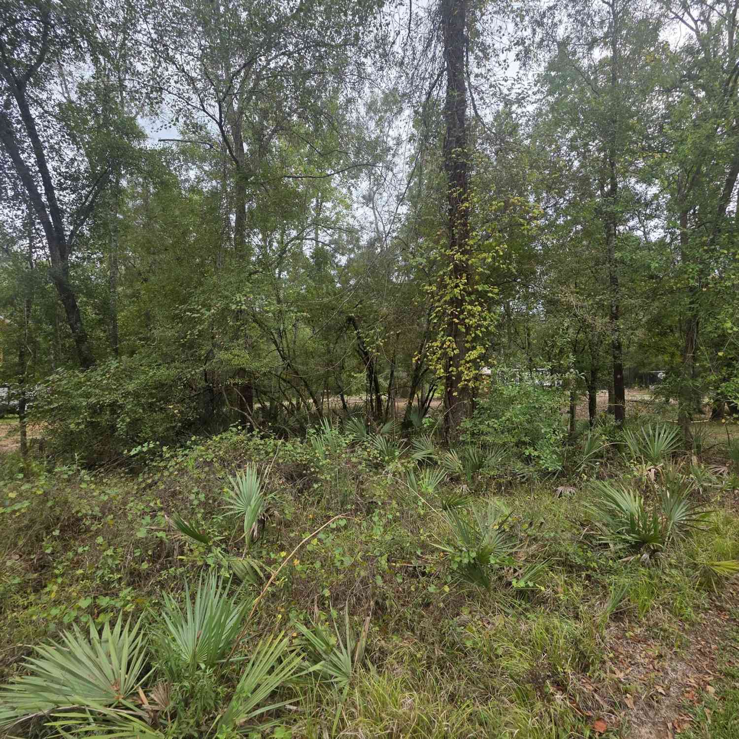 Vacant Land For Sale - Morris Landing Road<br/> Appling County, Baxley, GA 31513