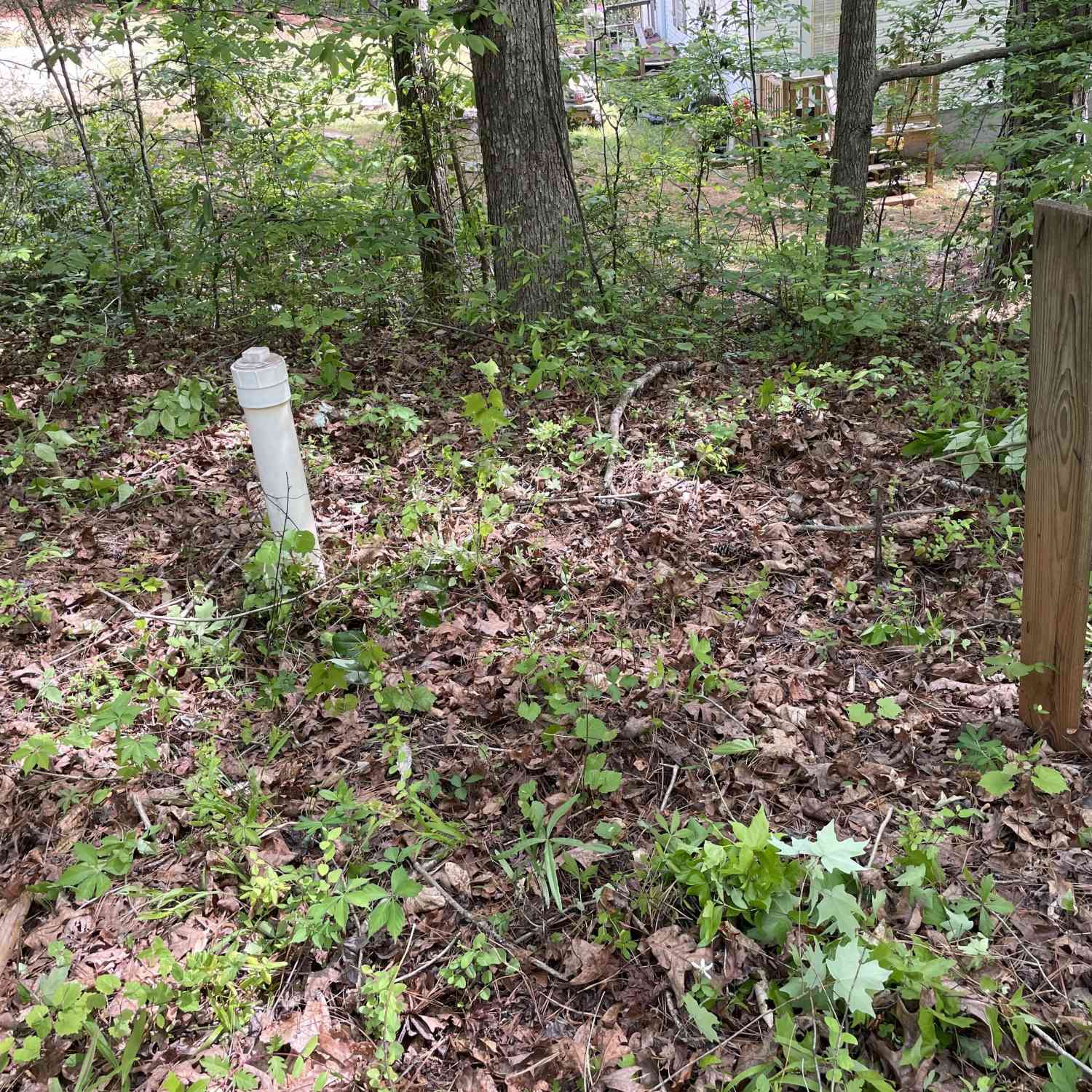 Vacant Land For Sale - 225 White Birch Drive<br/> Newton County, Covington, GA 30016