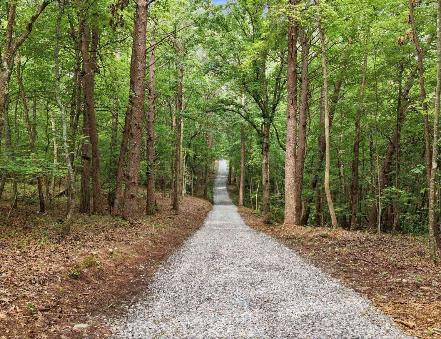 Vacant Land For Sale - 260 Fain Street<br/> Fannin County, Morganton, GA 30560