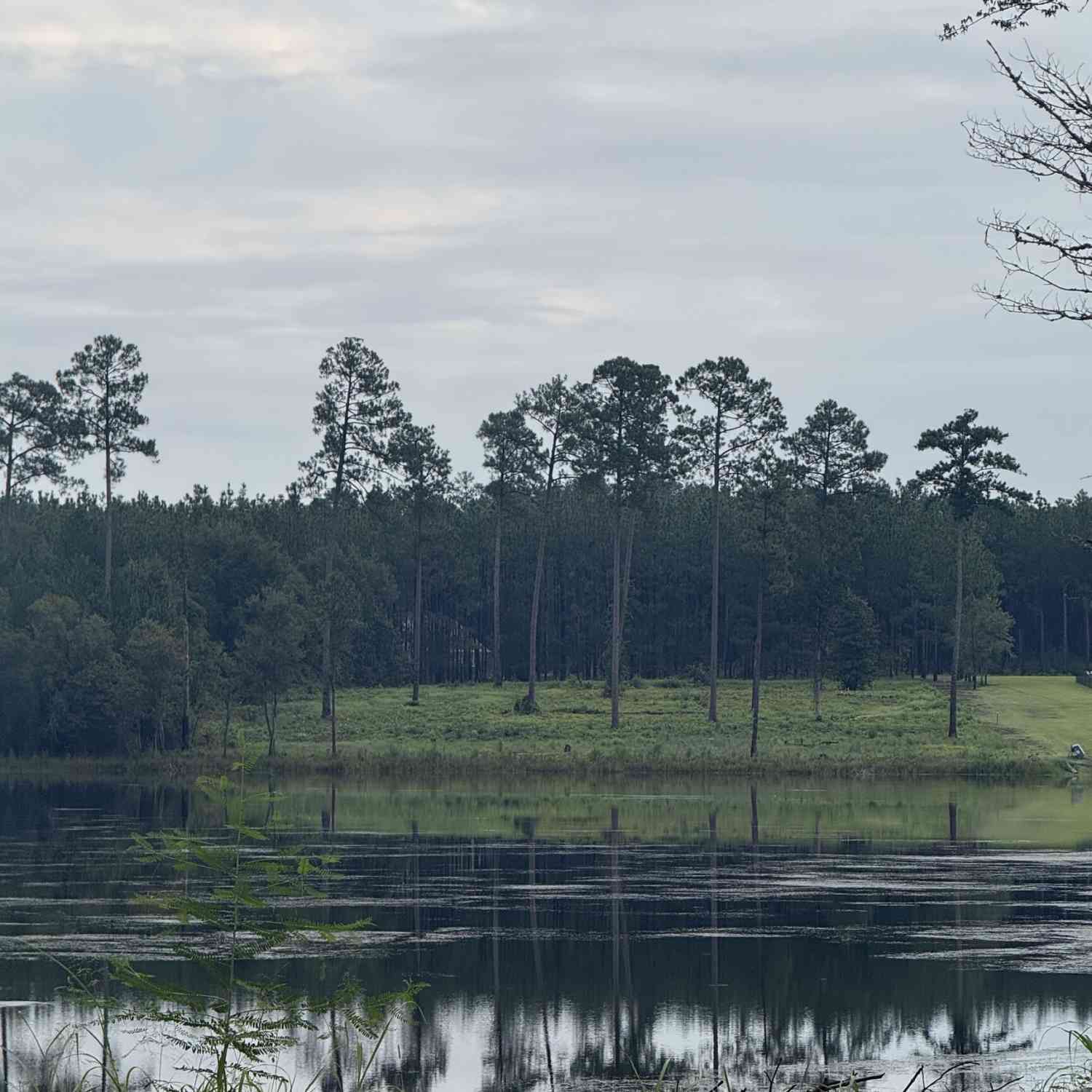 Vacant Land For Sale - 118 East Lake Drive<br/> Statesboro, GA 30458