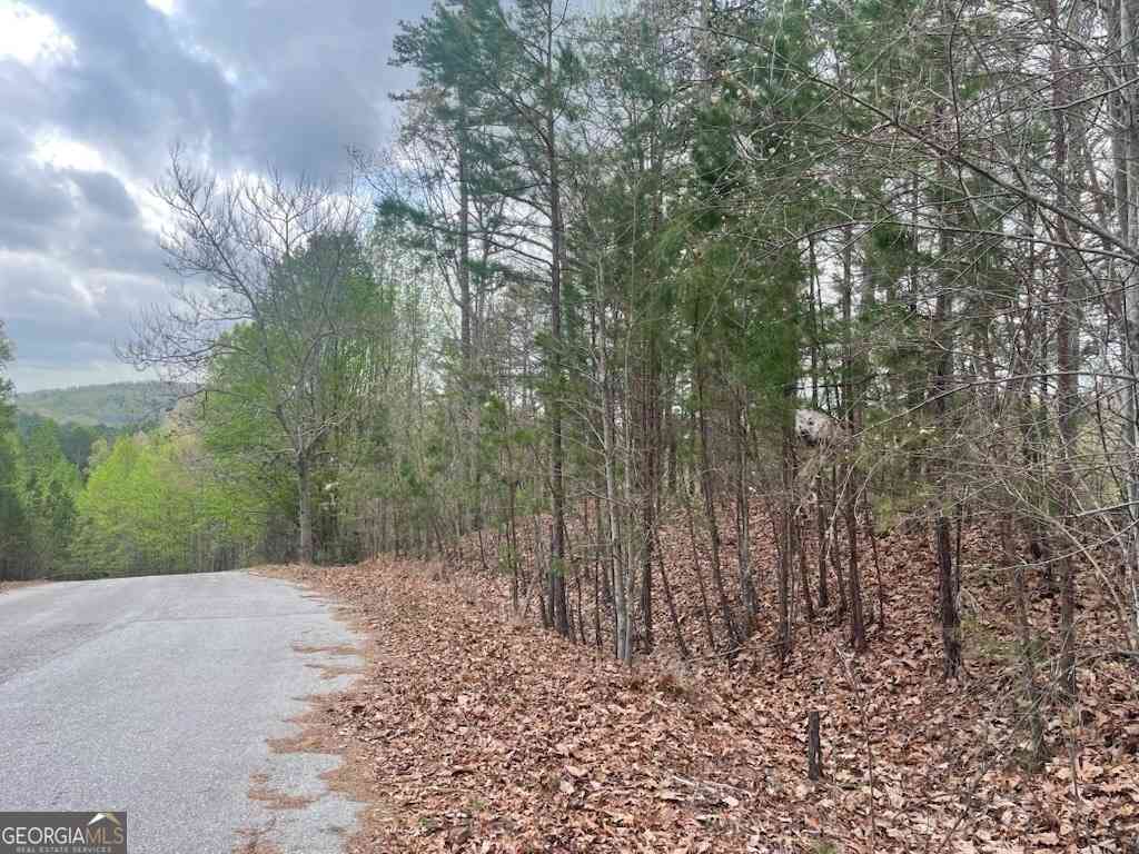 Vacant Land For Sale - Planters Pointe Drive<br/> Banks County, Baldwin, GA 30511