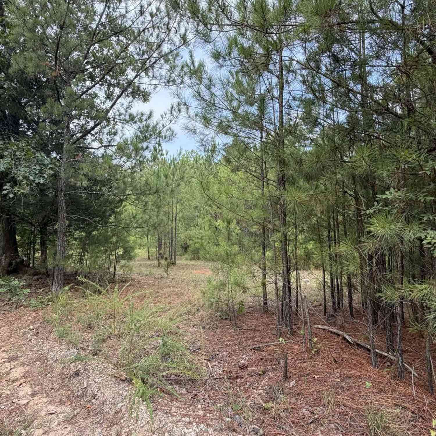 Vacant Land For Sale - Smith Mill Road<br/> Monticello, GA 31064