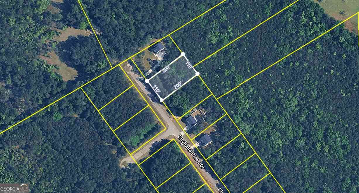 Vacant Land For Sale - 167 Shetland Pines Drive<br/> Bibb County, Macon, GA 31216