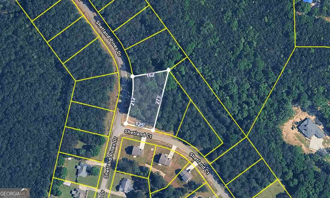 Vacant Land For Sale - 135 Shetland Pines Drive<br/> Bibb County, Macon, GA 31216