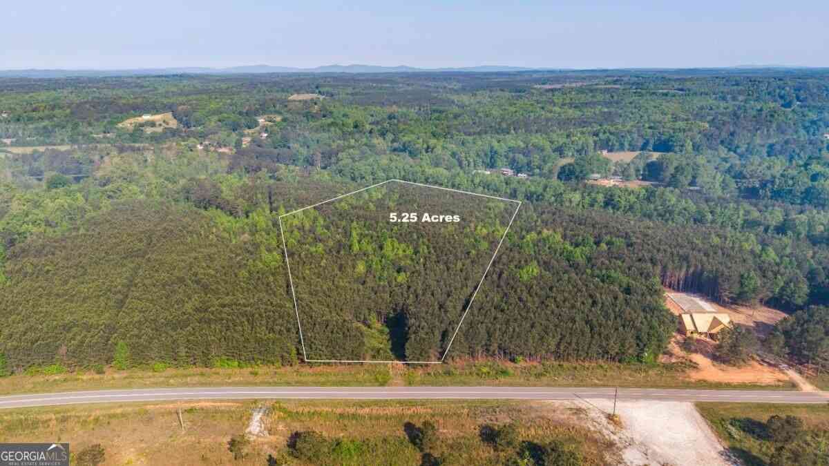 Vacant Land For Sale - Mt. Zion Church Road<br/> Tallapoosa, GA 30176