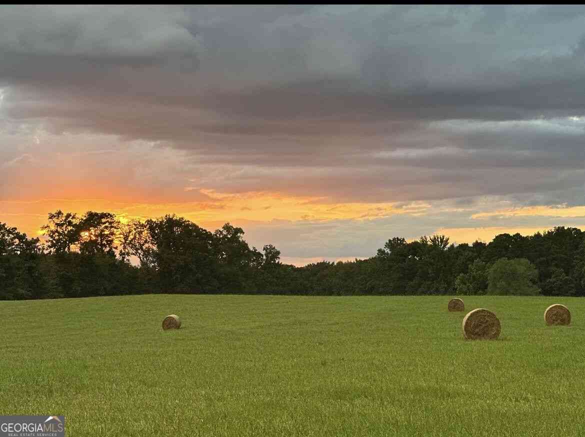 Vacant Land For Sale - 167 Rogers Road<br/> Monticello, GA 31064