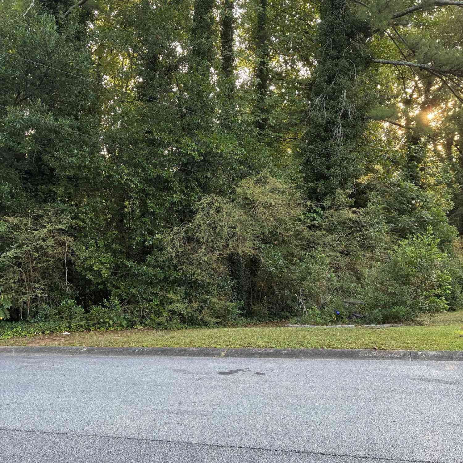 Vacant Land For Sale - 468 S Susan Creek Drive<br/> Dekalb County, Stone Mountain, GA 30083