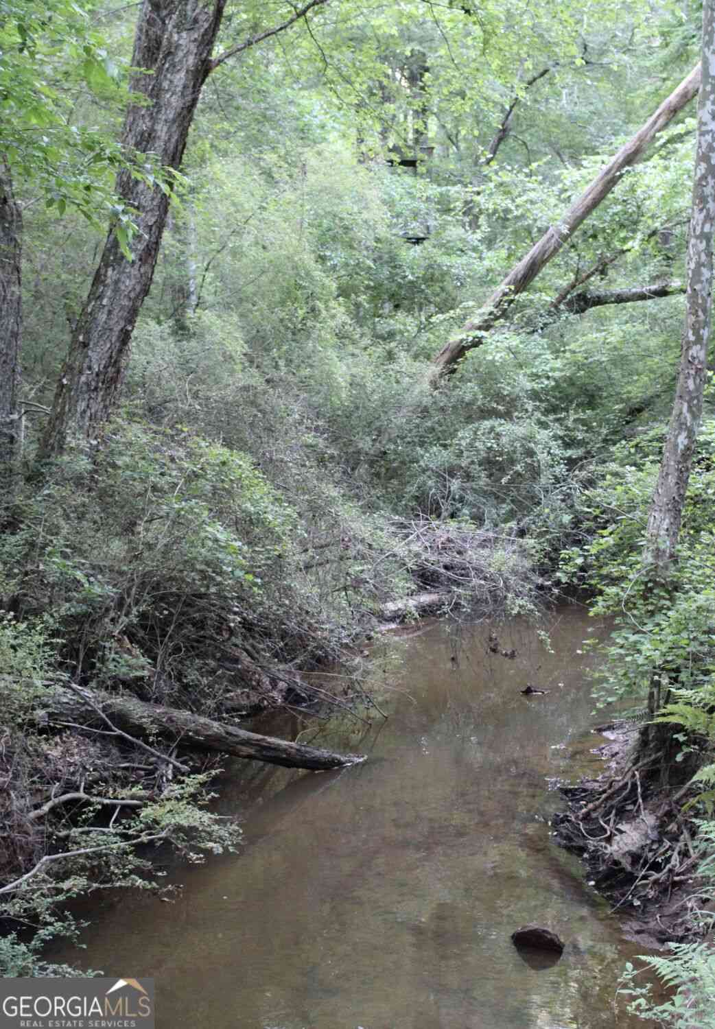 Vacant Land For Sale - 1135 Mount Moriah Road<br/> Gwinnett County, Auburn, GA 30011
