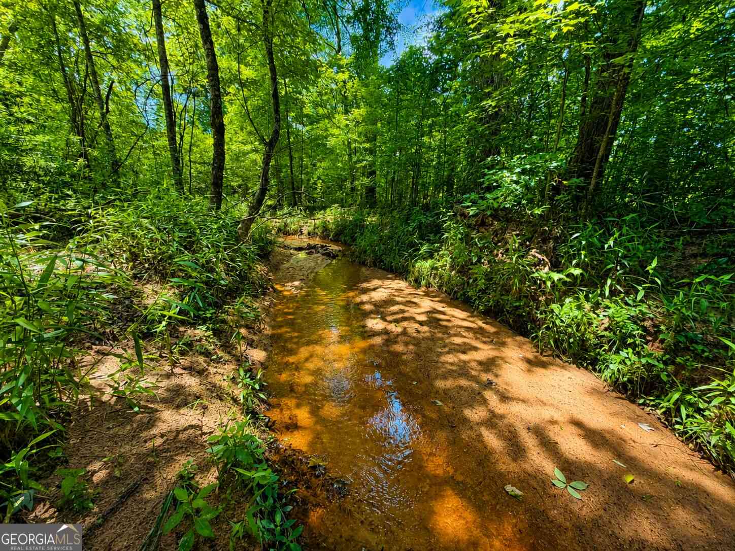 Vacant Land For Sale - 29 ACRES Cochran Road<br/> Morgan County, Madison, GA 30650
