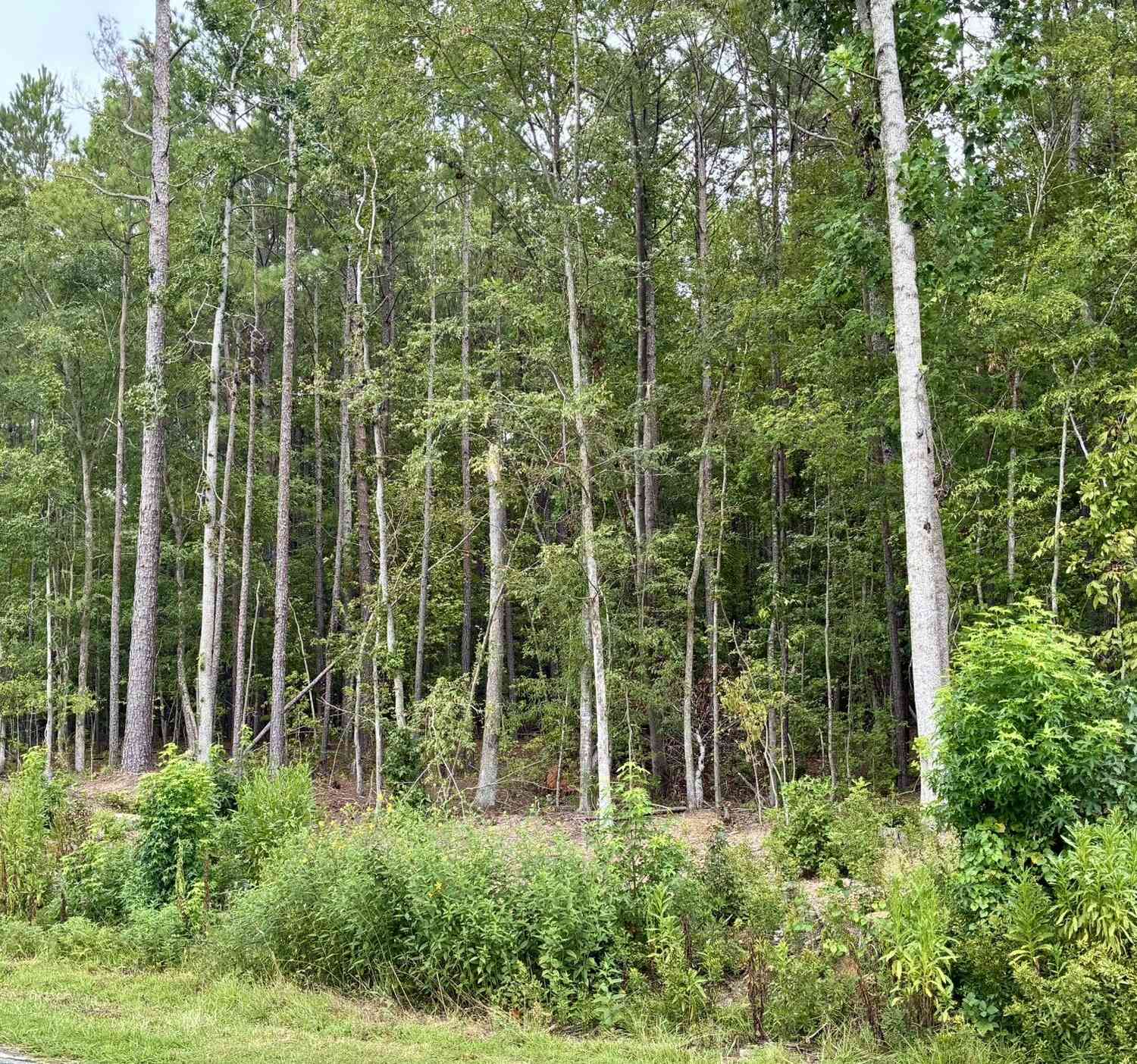 Vacant Land For Sale - 128 Honeysuckle Road NE<br/> Baldwin County, Milledgeville, GA 31061