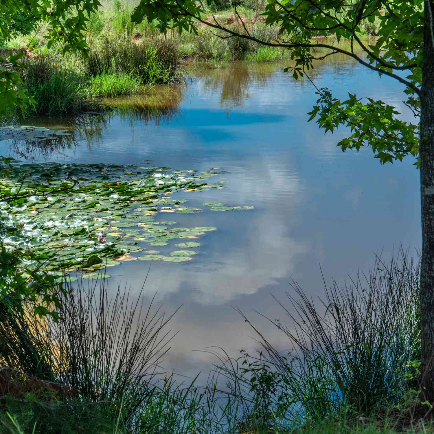 Vacant Land For Sale - Hines Road<br/> Troup County, Hogansville, GA 30230