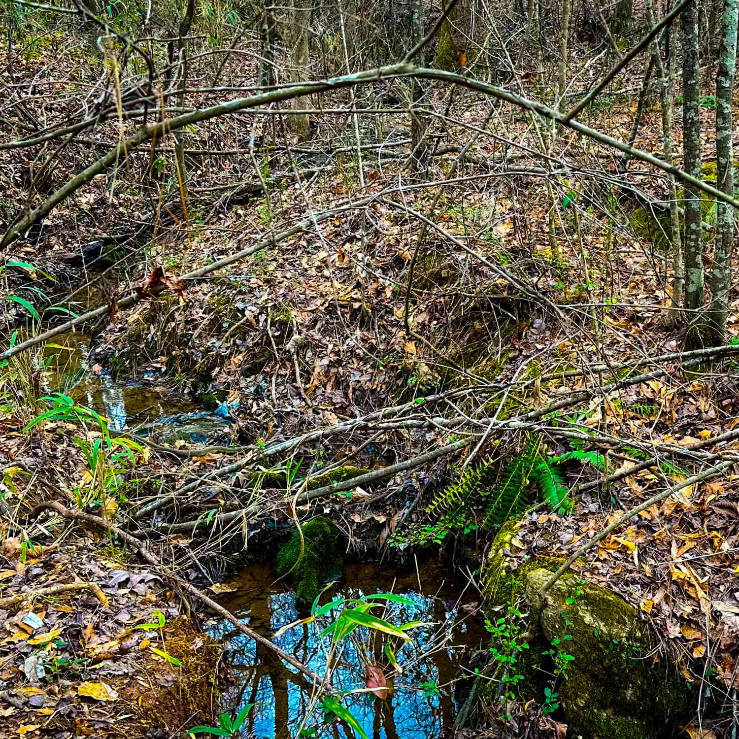 Vacant Land For Sale - Hwy 166 E - 21+ Acres E<br/> Carroll County, Bowdon, GA 30108