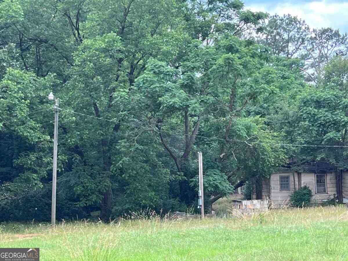 Vacant Land For Sale - 4550 Lower Apalachee Road<br/> Morgan County, Madison, GA 30650