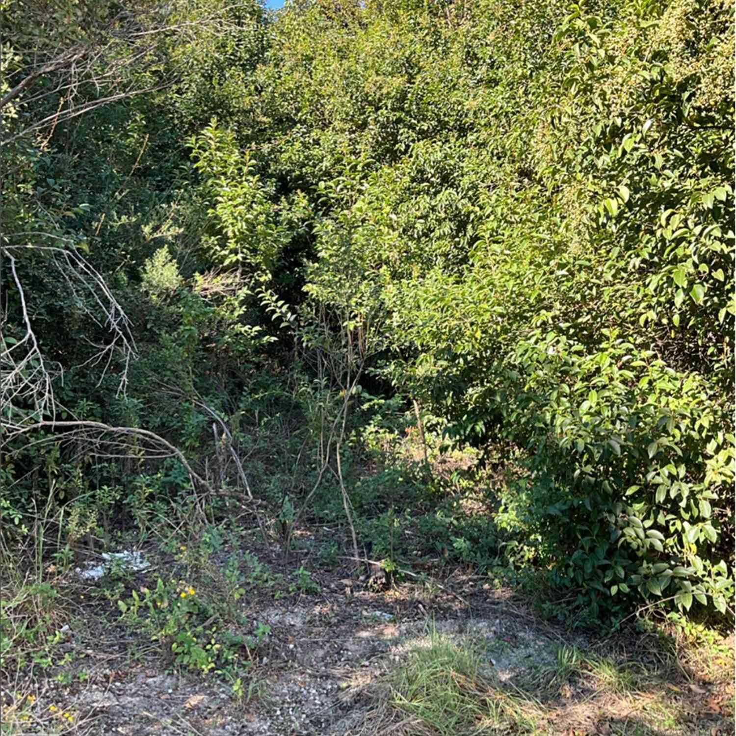 Vacant Land For Sale - 310 Curtis Street<br/> Warner Robins, GA 31093
